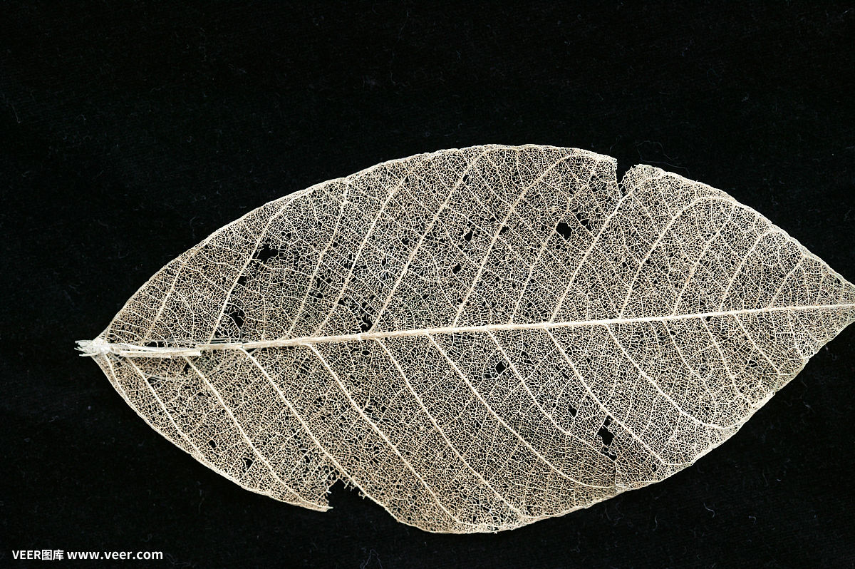 重生八零：南少的小妙妻