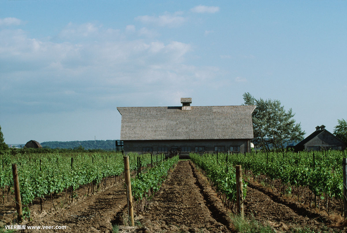将门大小姐：陛下，安好！