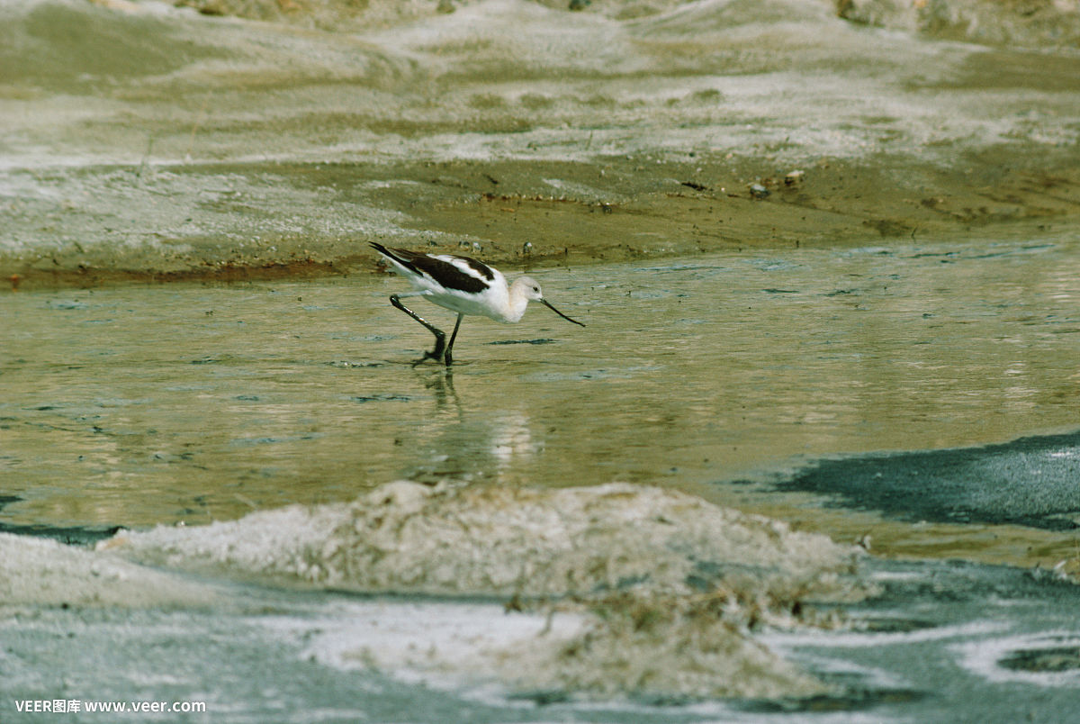 近身神医 近身神医
