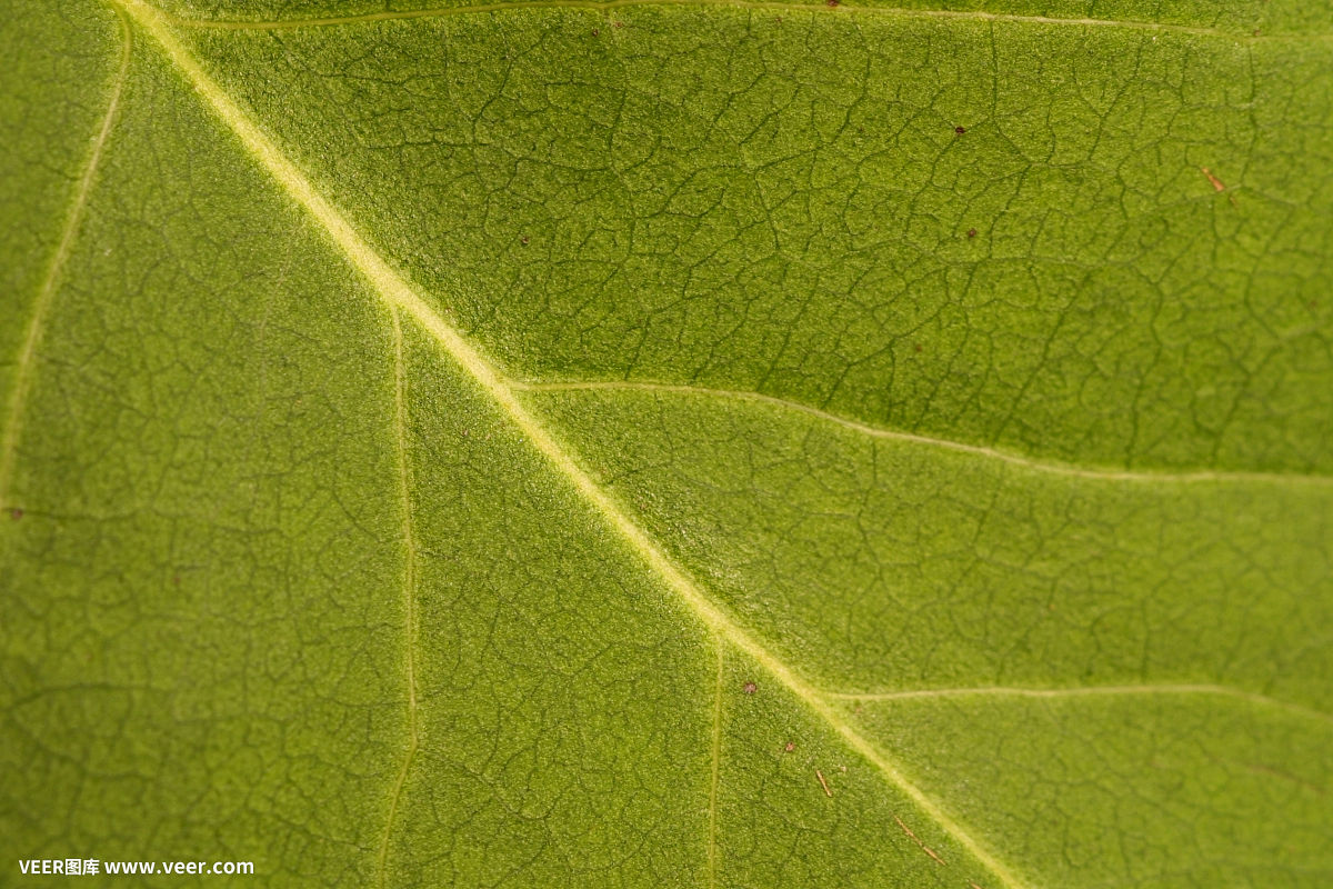 逆袭:我会修真 逆袭:我会修真