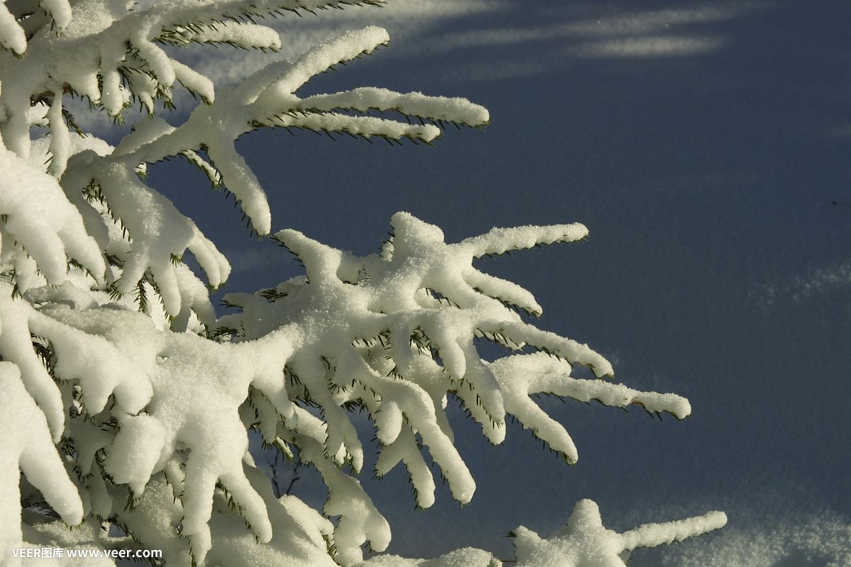 重生No1：公爵大人，你飘了！